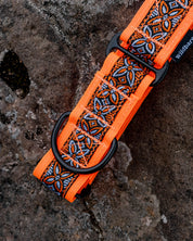 Parys Martingale Dog Collar