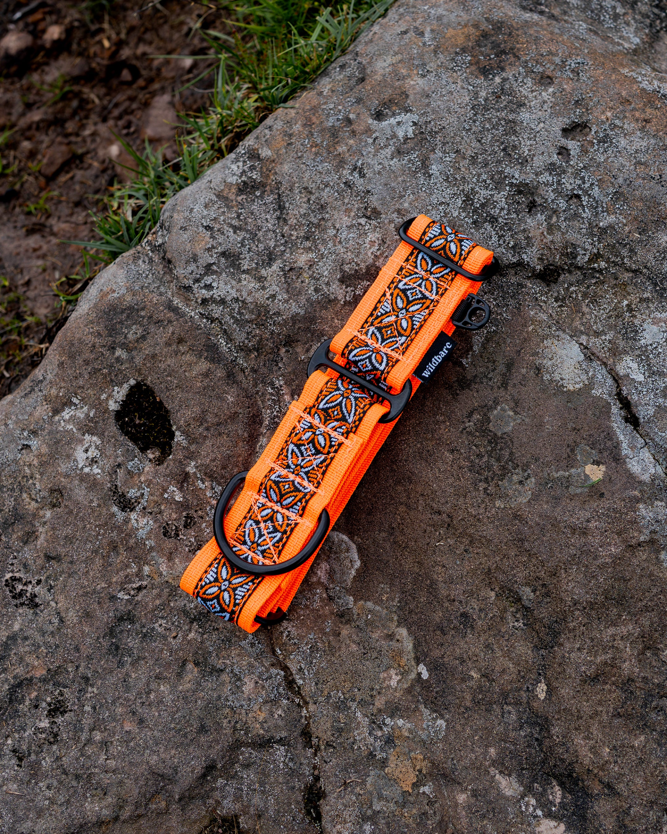 Parys Martingale Dog Collar