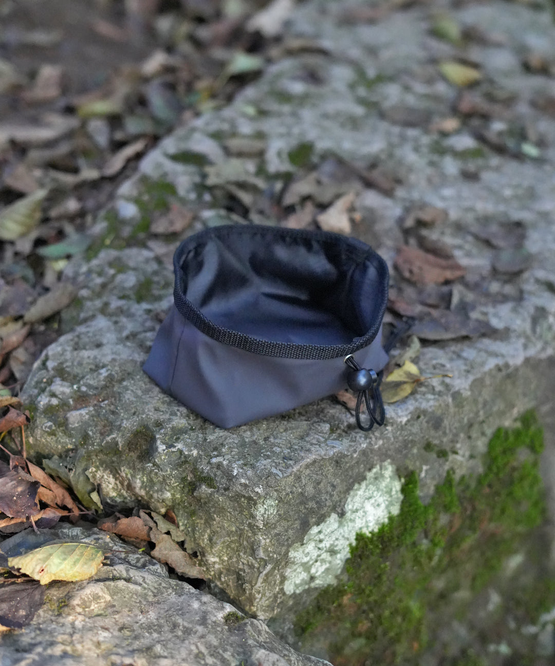 penrhyn-dog-bowl.jpg
