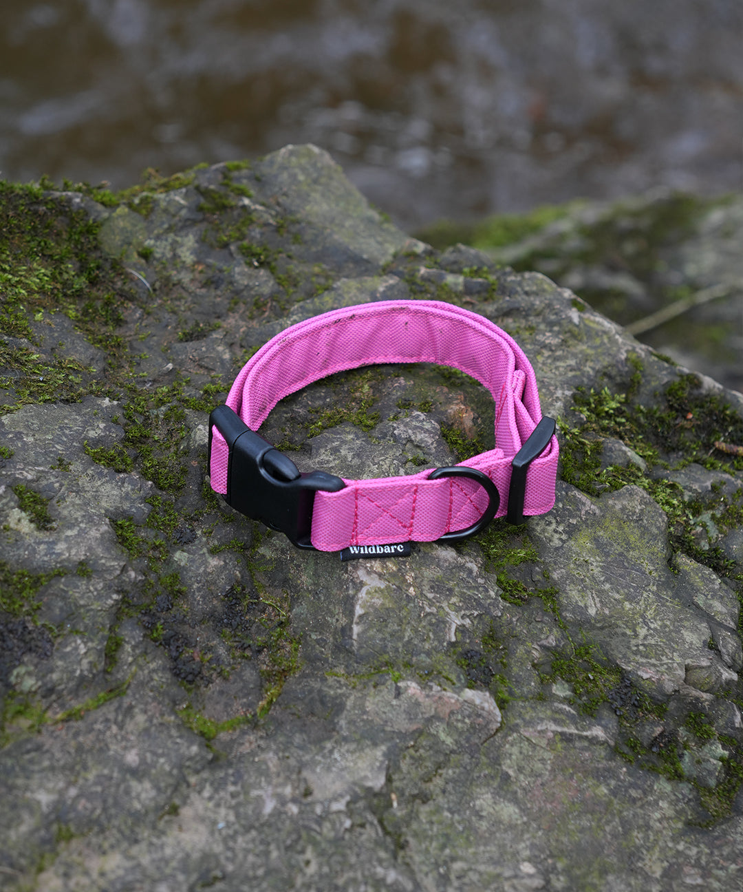 pink-collar.jpg