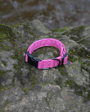 Pink Canvas Collar