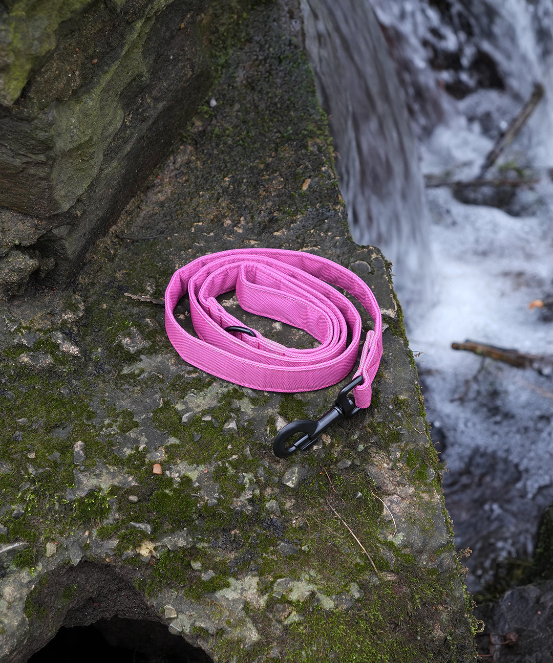 pink-lead.jpg