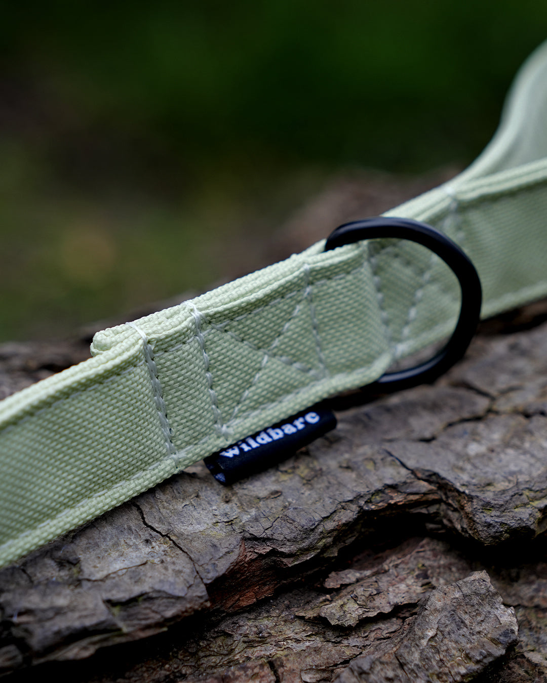 Pistachio Canvas Lead