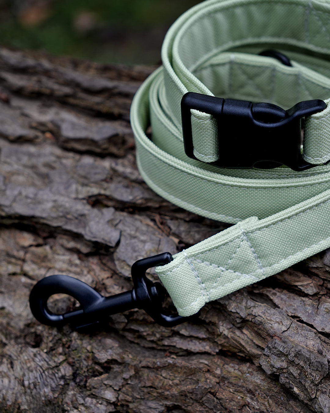 Pistachio Canvas Lead
