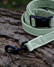 Pistachio Canvas Lead