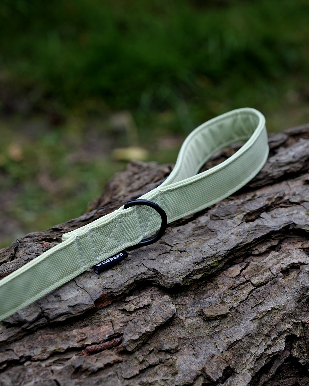 Pistachio Canvas Lead