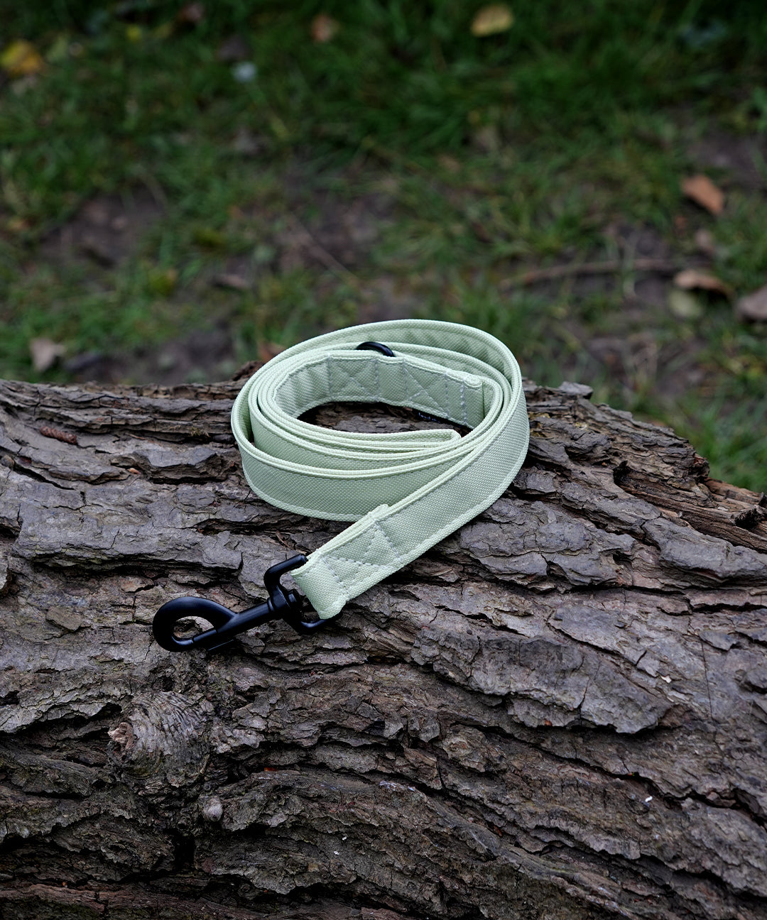 pistachio-dog-lead.jpg