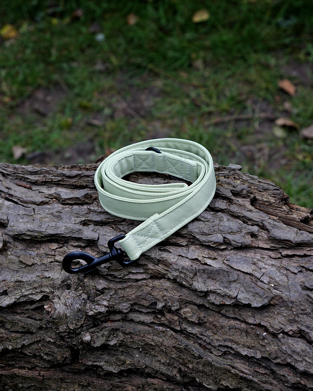Pistachio Canvas Lead