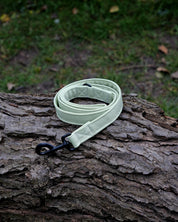Pistachio Canvas Lead