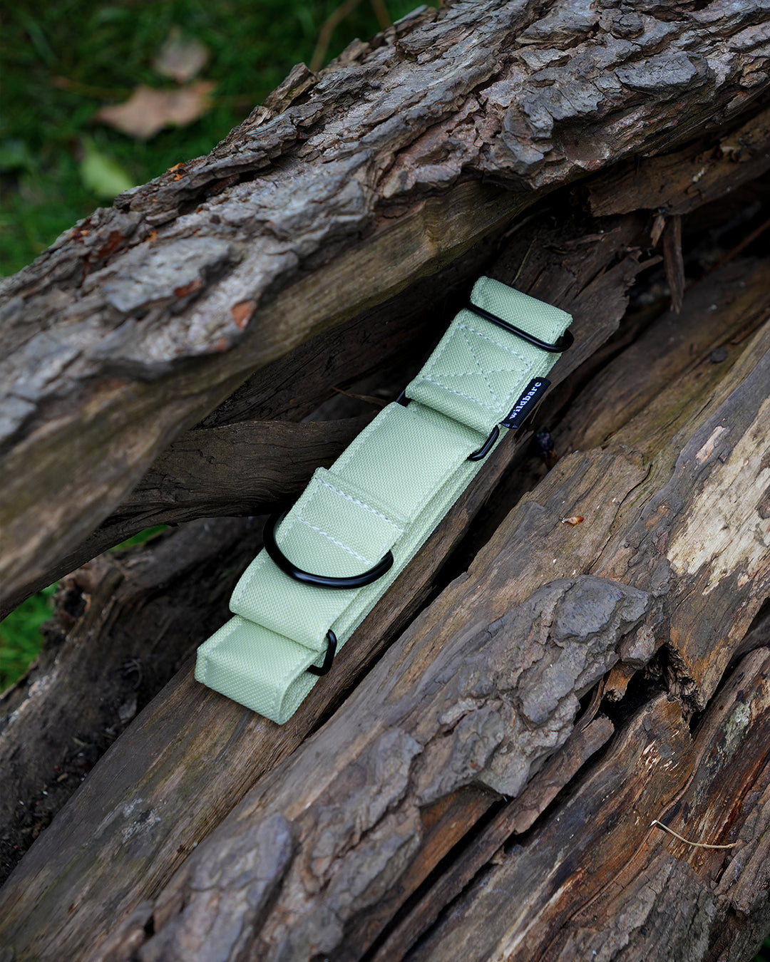 Pistachio Martingale Dog Collar