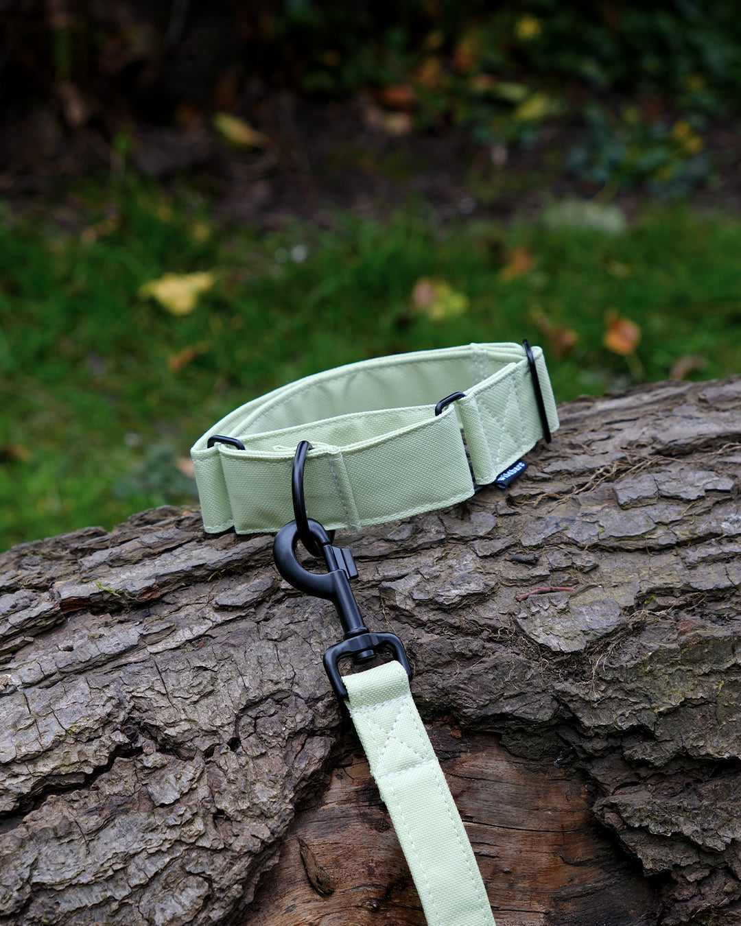 Pistachio Martingale Dog Collar