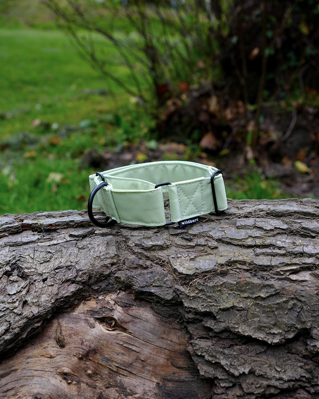 Pistachio Martingale Dog Collar