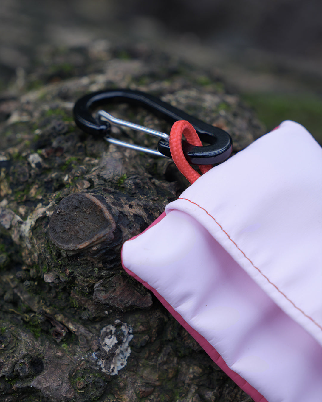 Porthcawl Poo Bag Holder