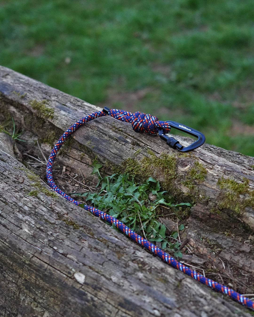 Repurposed Monmouth Climbing Rope Dog Lead