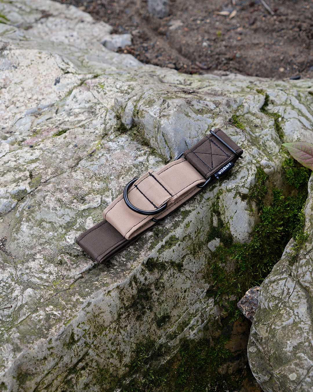 Siocled Martingale