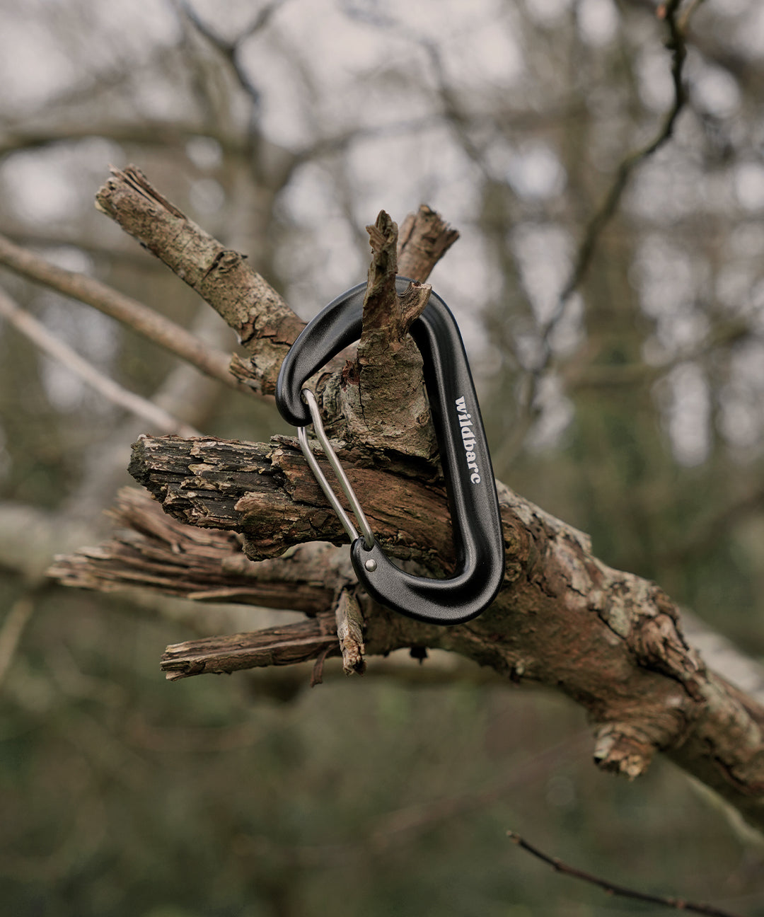spring-carabiner.jpg