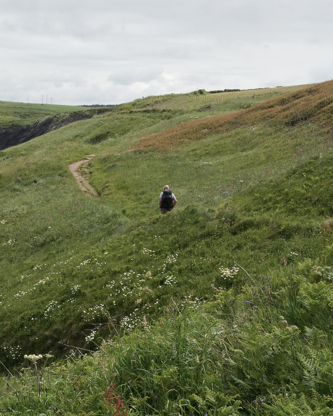 st_davids_26.jpg