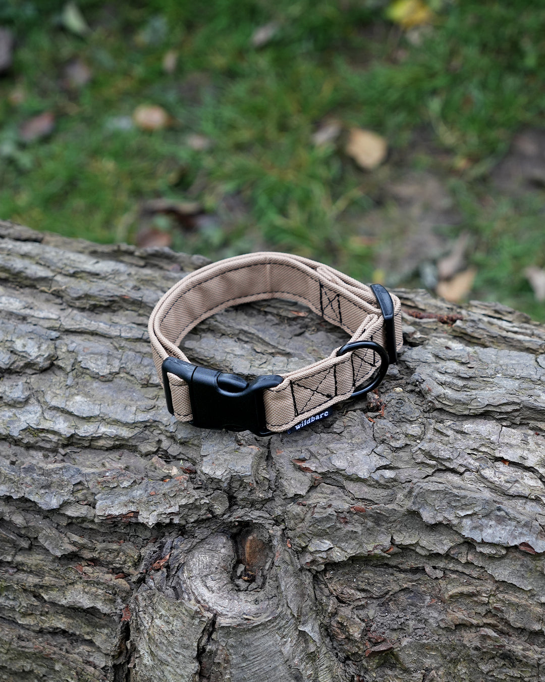 Tan Canvas Collar