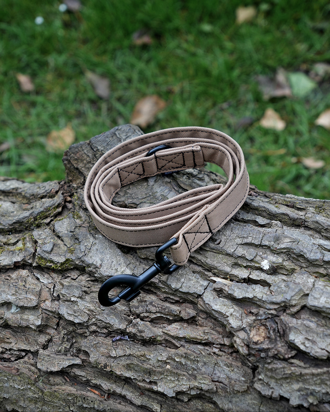 Tan Canvas Lead