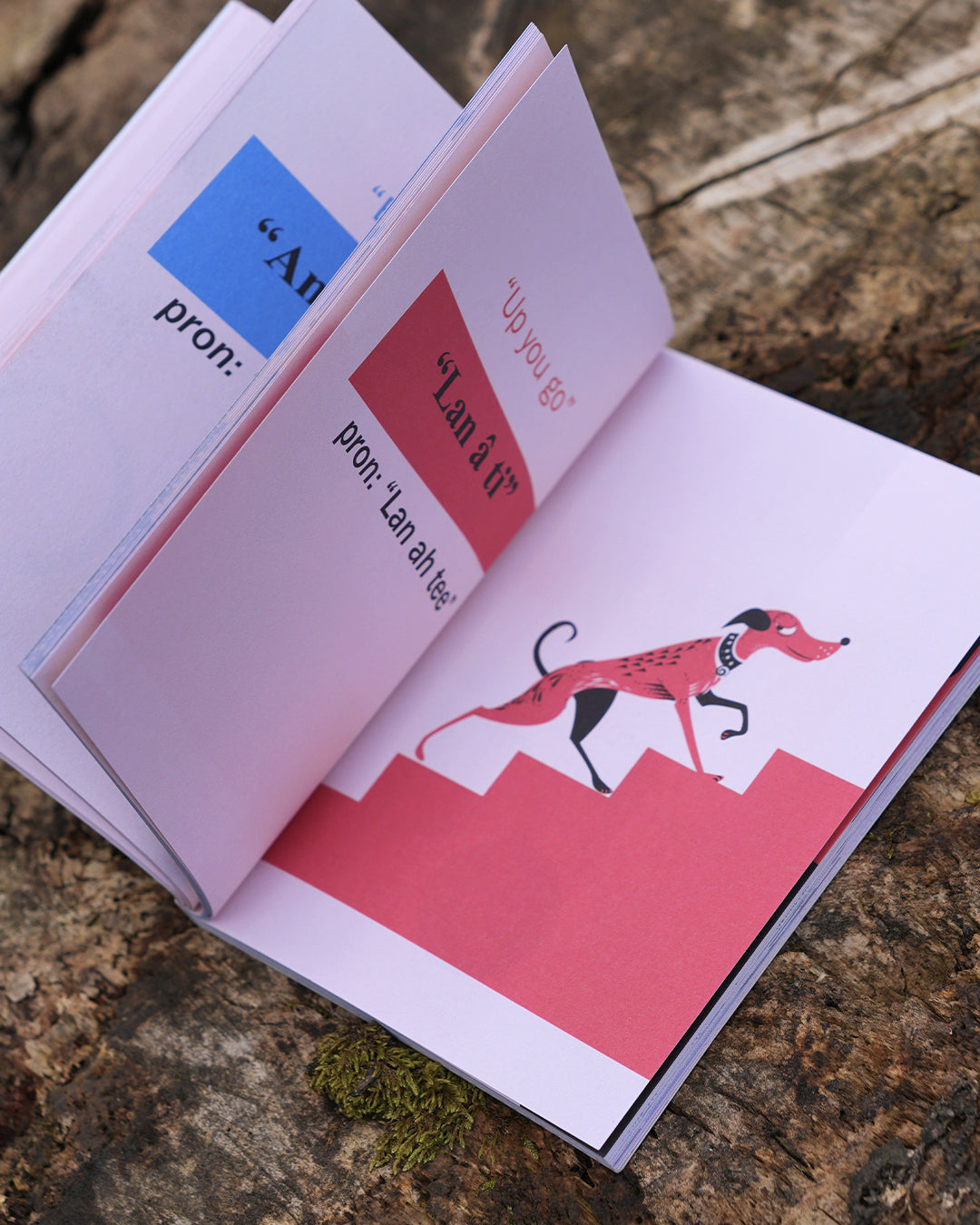 Anne Cakebread Teach Your Dog Welsh Book | Anne Cakebread – Wildbarc