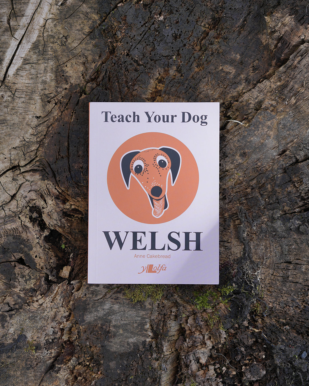 Anne Cakebread Teach Your Dog Welsh Book | Anne Cakebread – Wildbarc