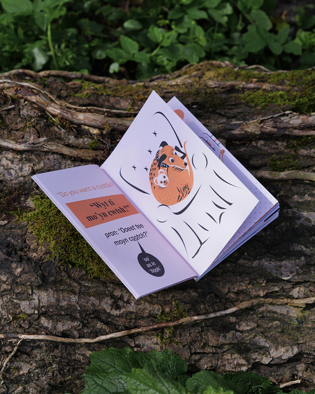 Anne Cakebread Teach Your Dog Welsh Book | Anne Cakebread – Wildbarc