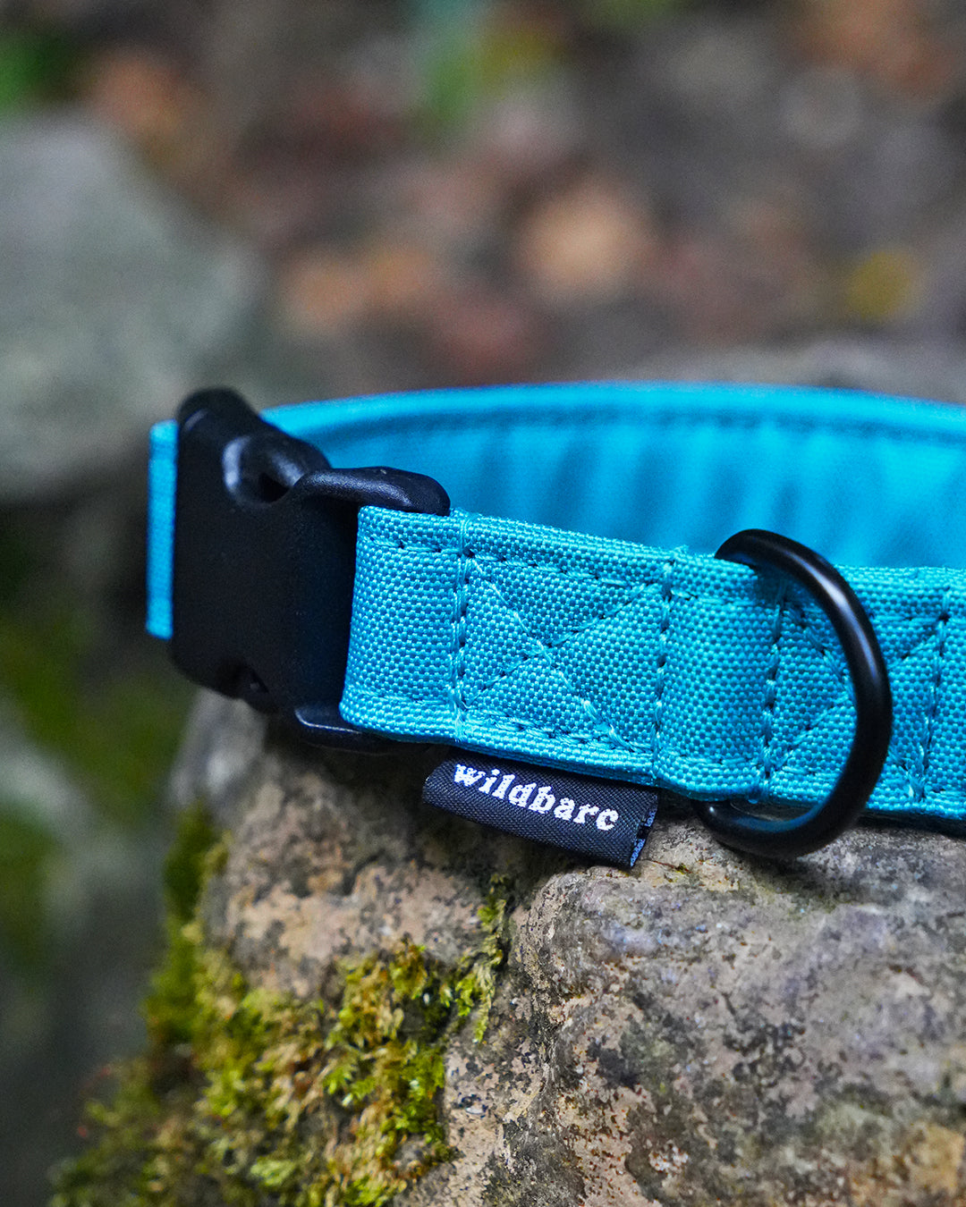 Teal Canvas Collar