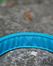 Teal Canvas Collar