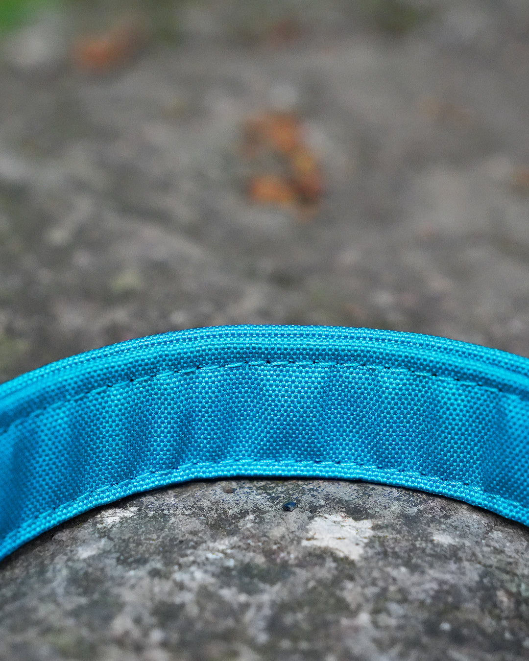 Teal Canvas Collar