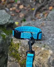 Teal Canvas Collar
