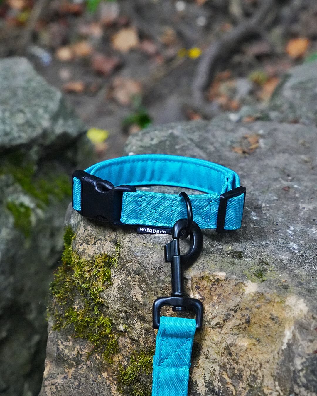 Teal Canvas Collar