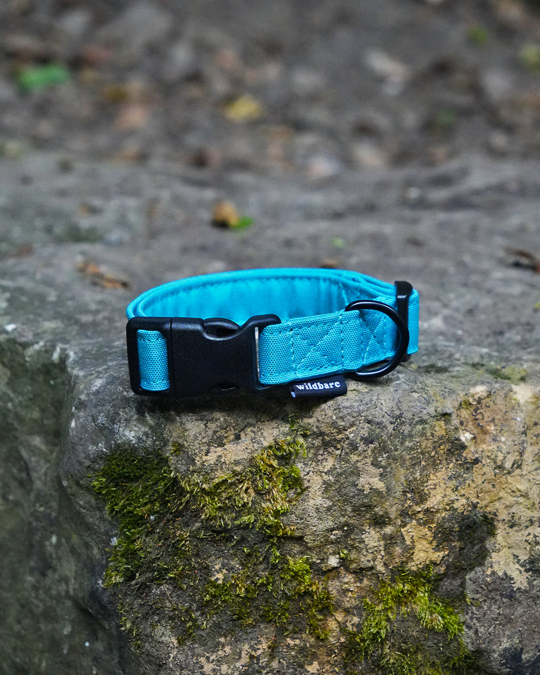 Teal Canvas Collar
