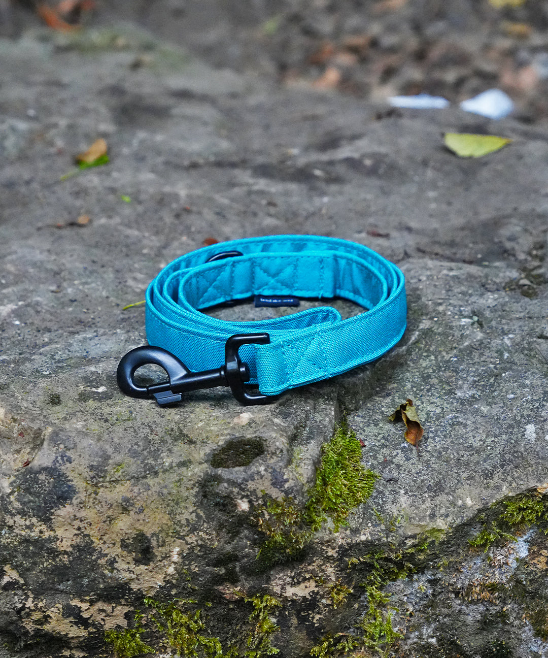 teal_dog-lead_01b0f8cf-b656-4910-8f29-217973f3ccac.jpg