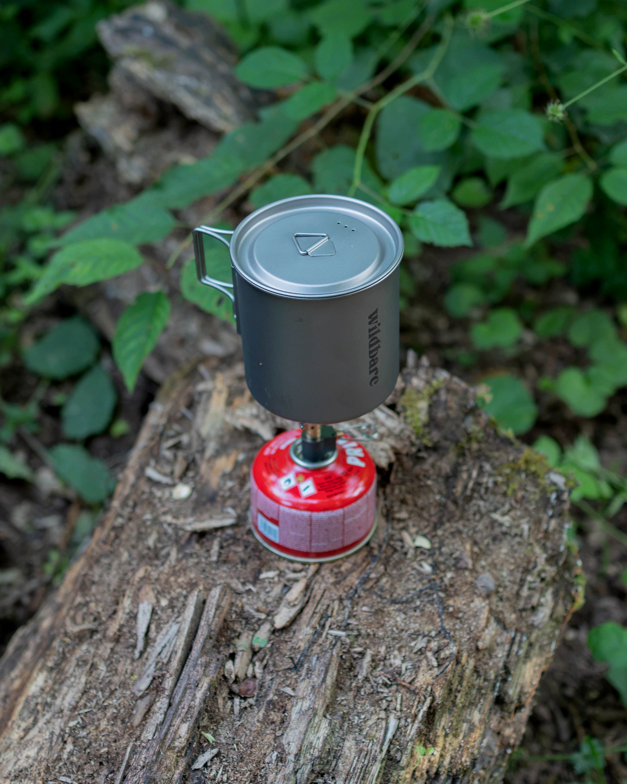 Titanium 750 Pot with Lid