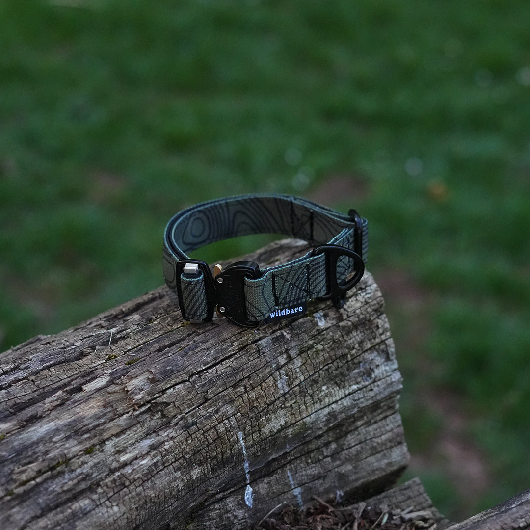 topo-eight.jpg