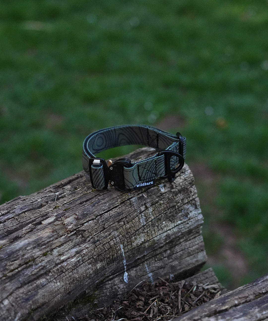 topo-eight.jpg