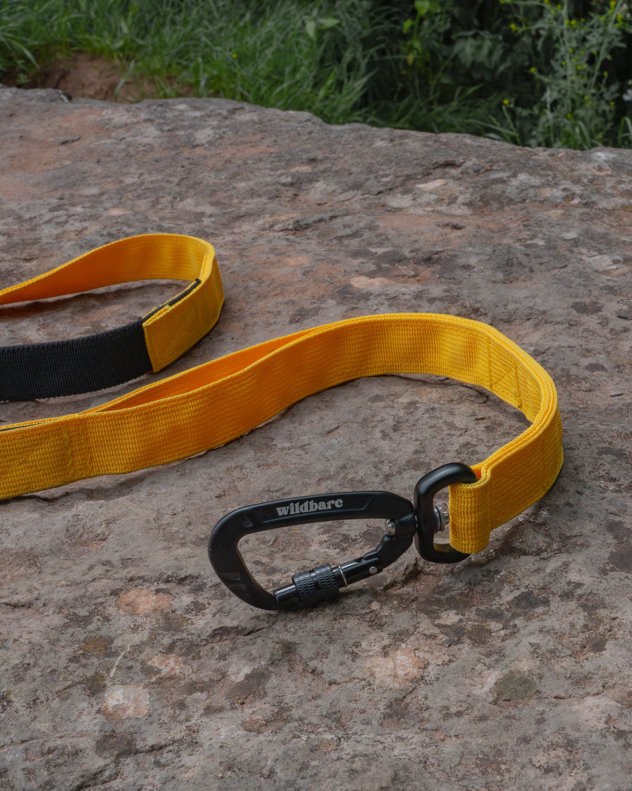 Trail Line Handsfree Dog Lead