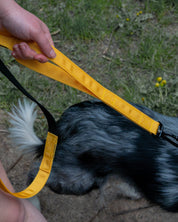 Trail Line Handsfree Dog Lead