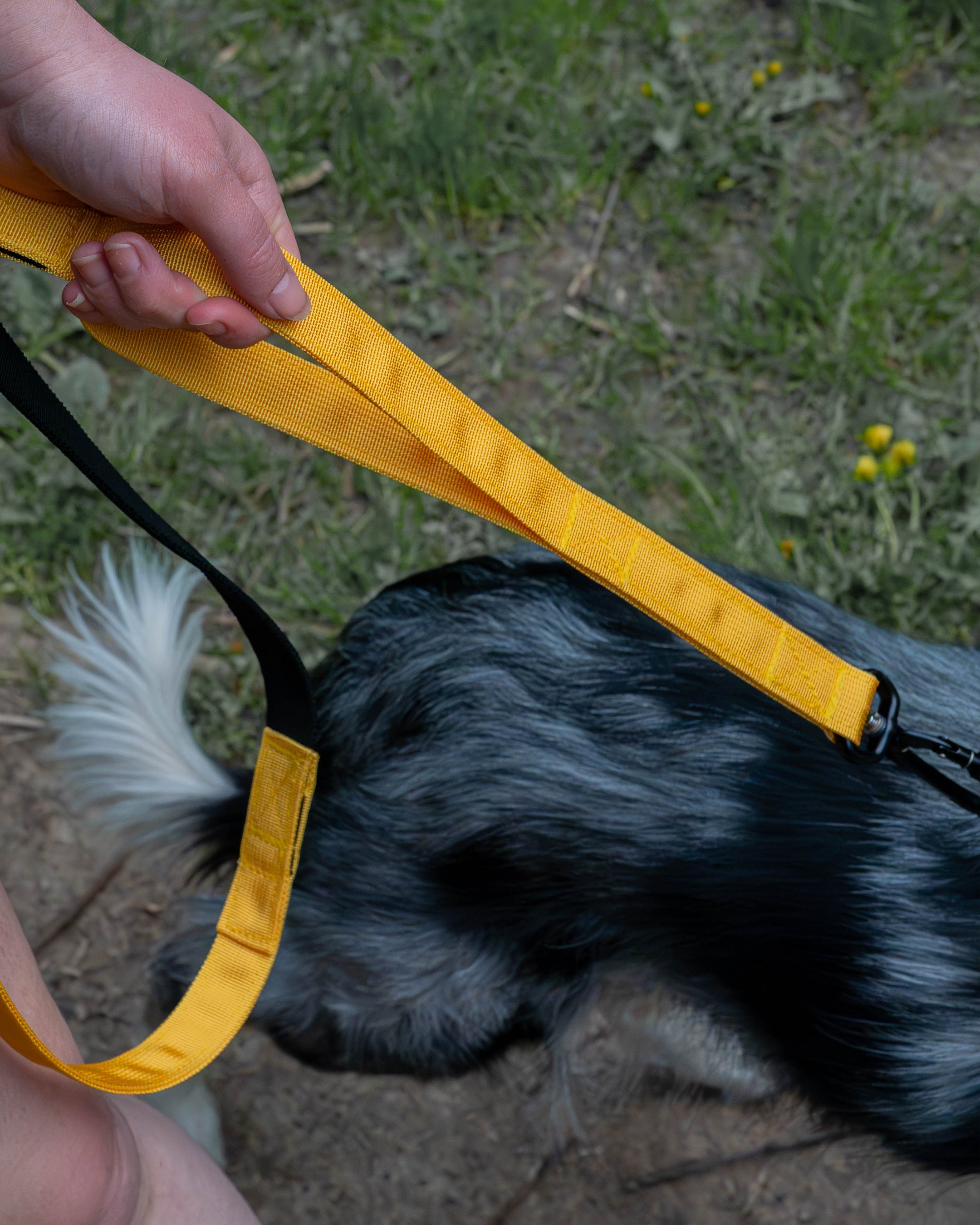 Trail Line Handsfree Dog Lead