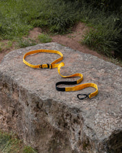 Trail Line Handsfree Dog Lead