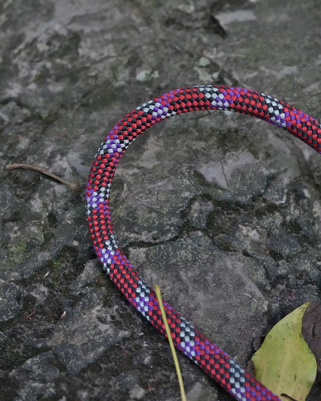 Tregaron: Recycled Dog Lead