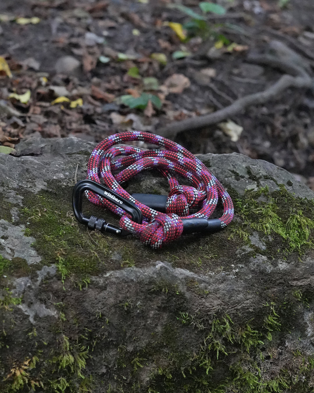 Tregaron: Recycled Dog Lead