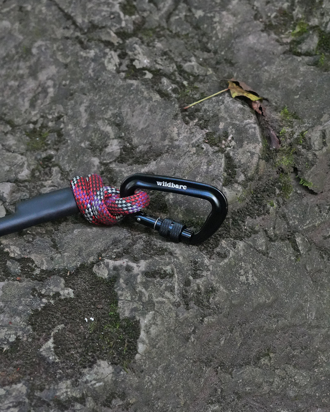 Tregaron: Recycled Dog Lead