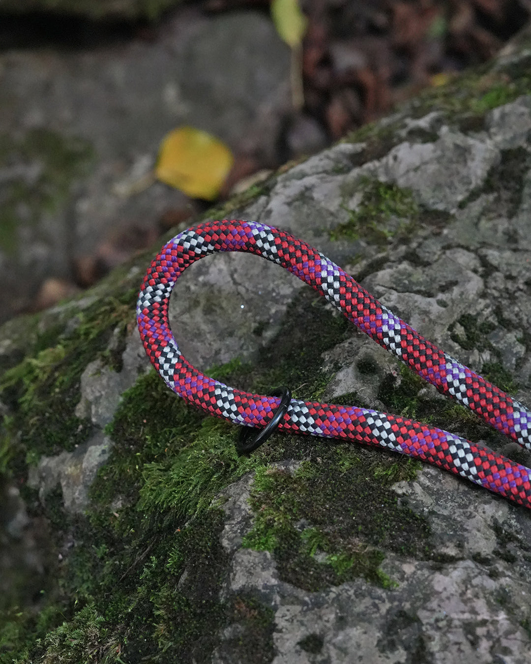 Tregaron: Recycled Dog Lead