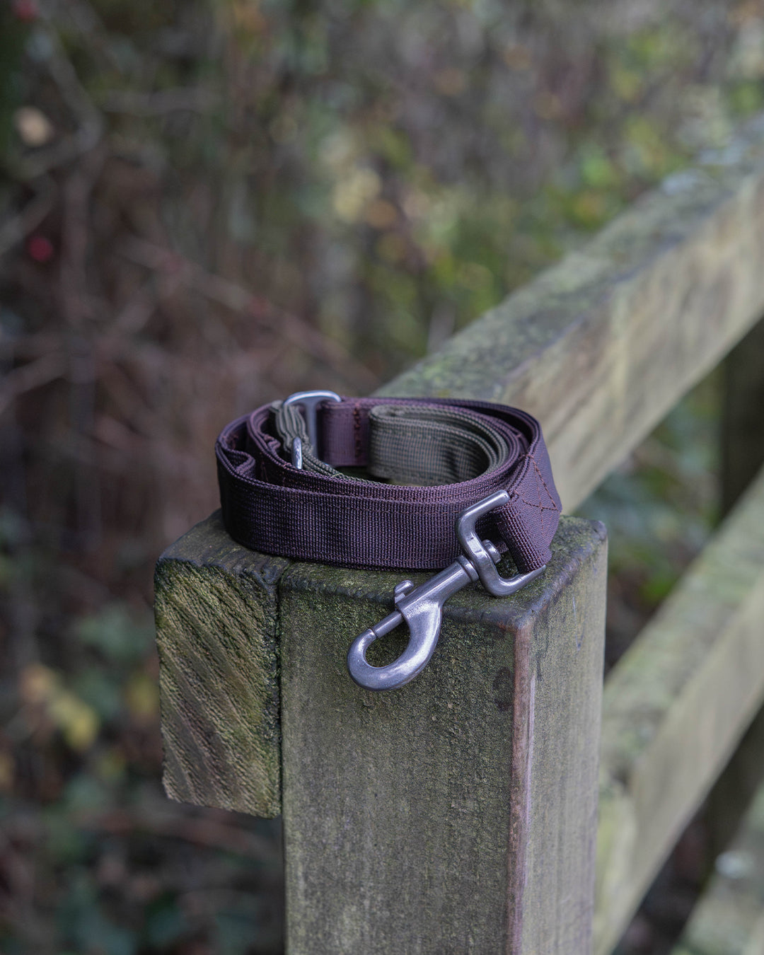 Hiraeth Waterproof Dog Flat Lead with Traffic Handles