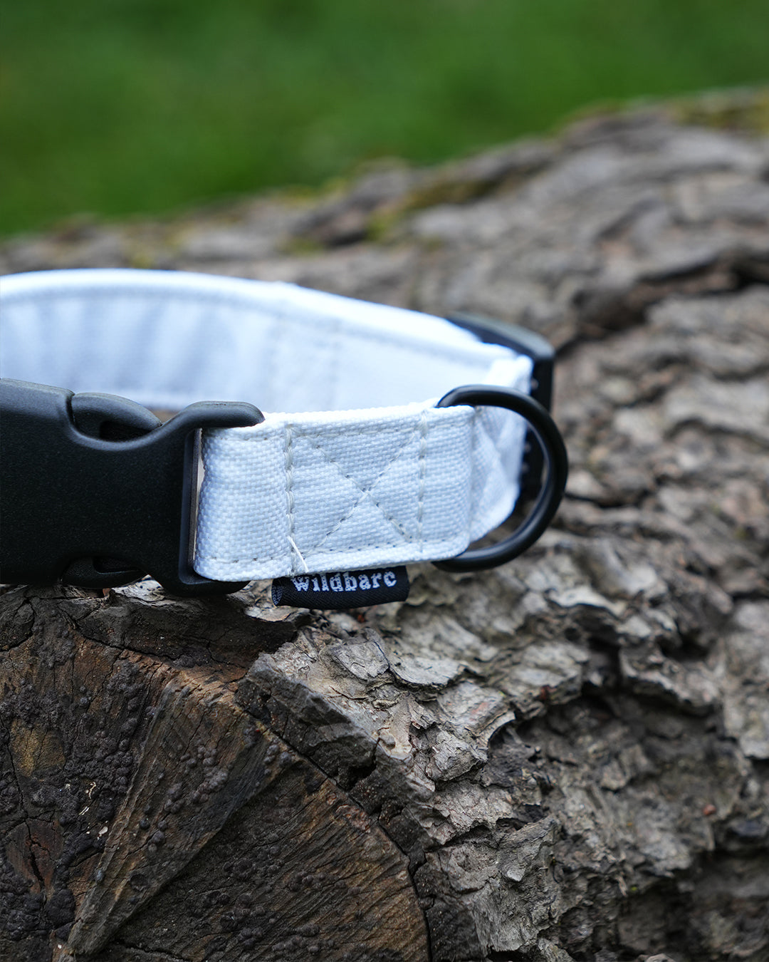 White Canvas Dog Collar