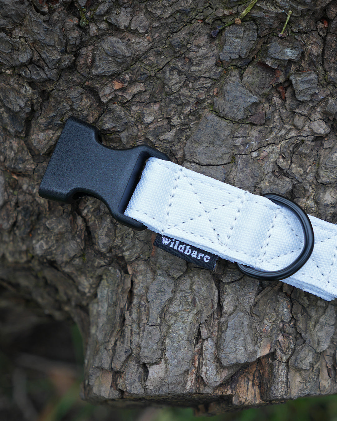 White Canvas Dog Collar
