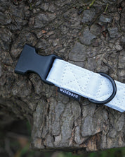 White Canvas Dog Collar