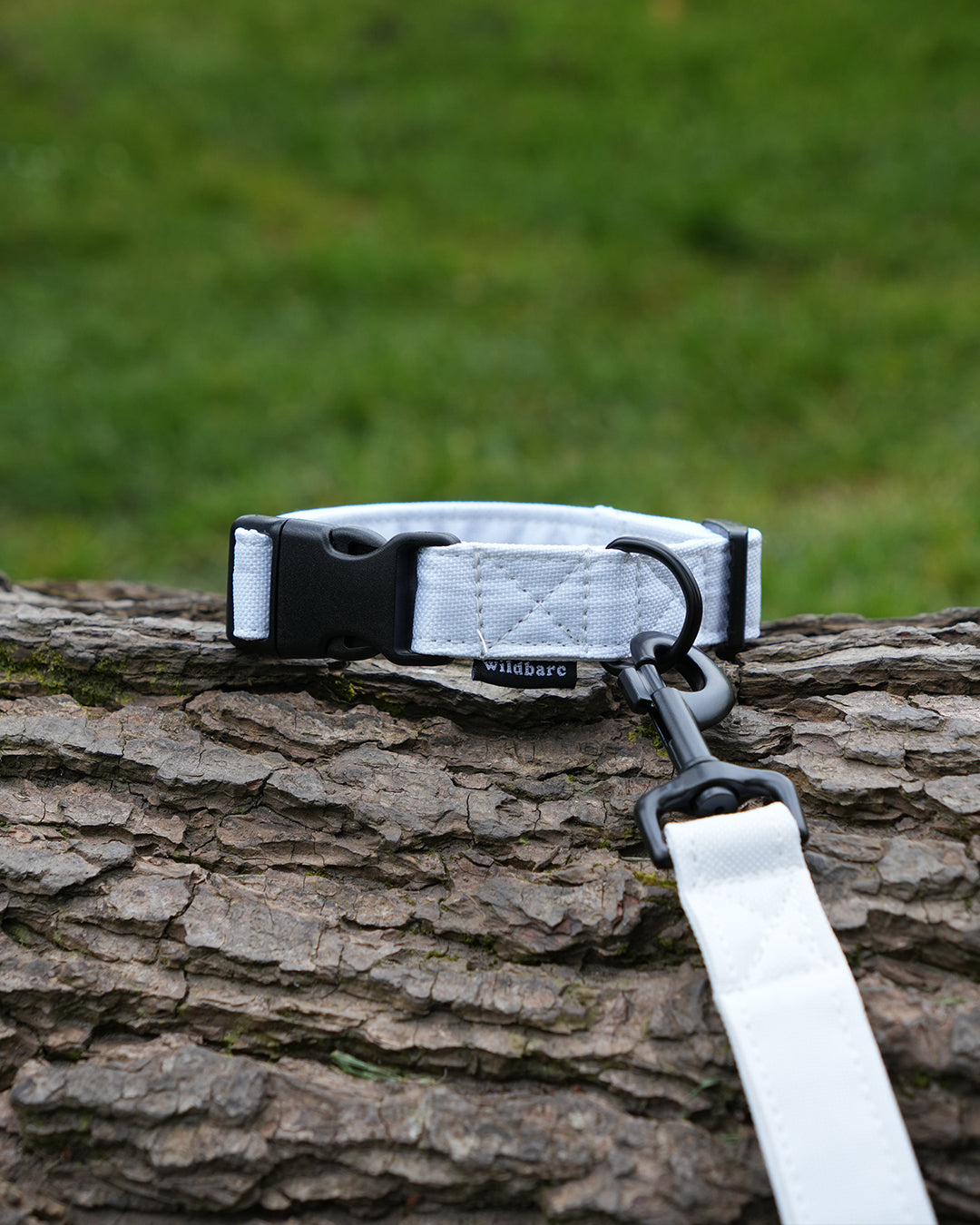 White Canvas Dog Collar