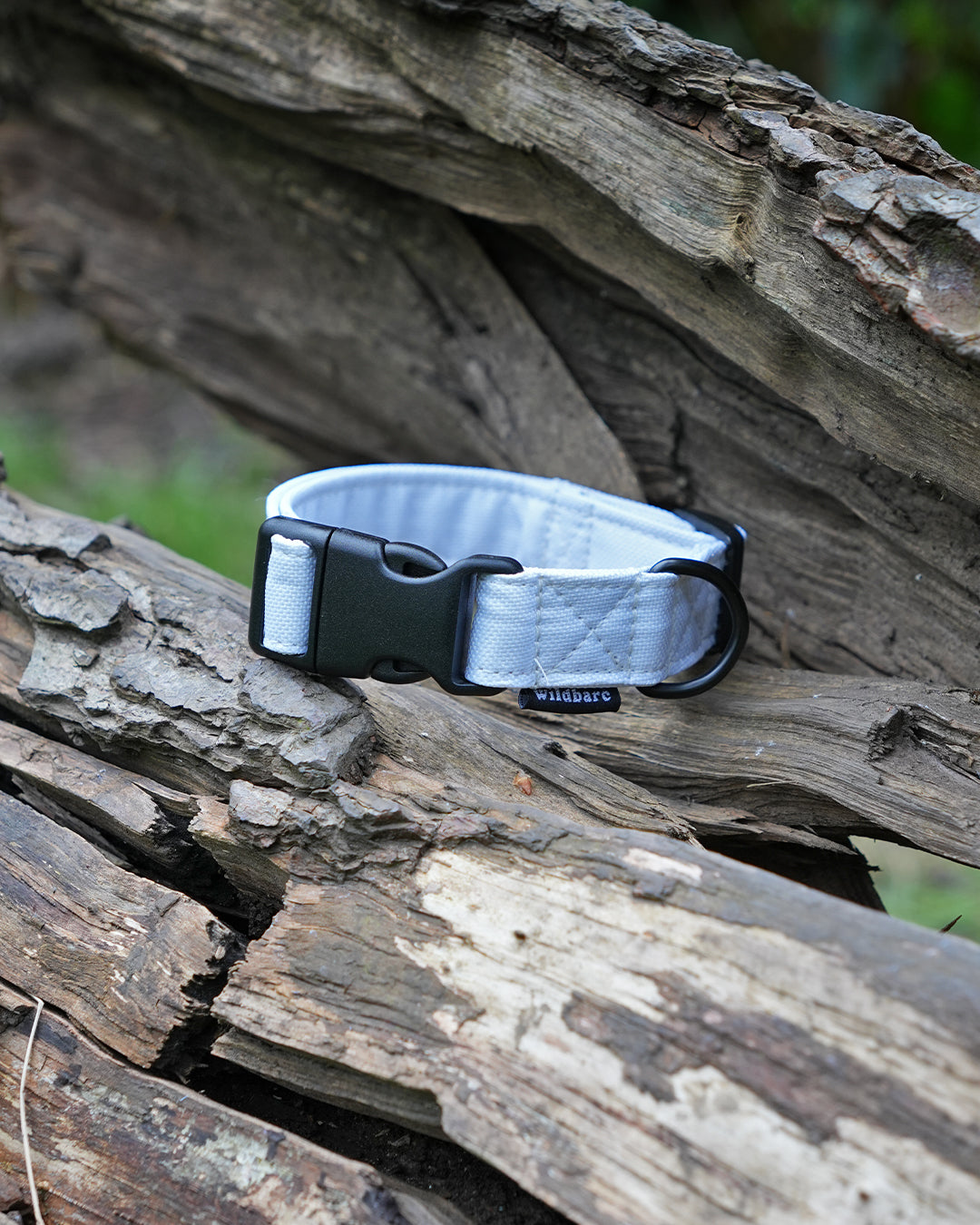 White Canvas Dog Collar